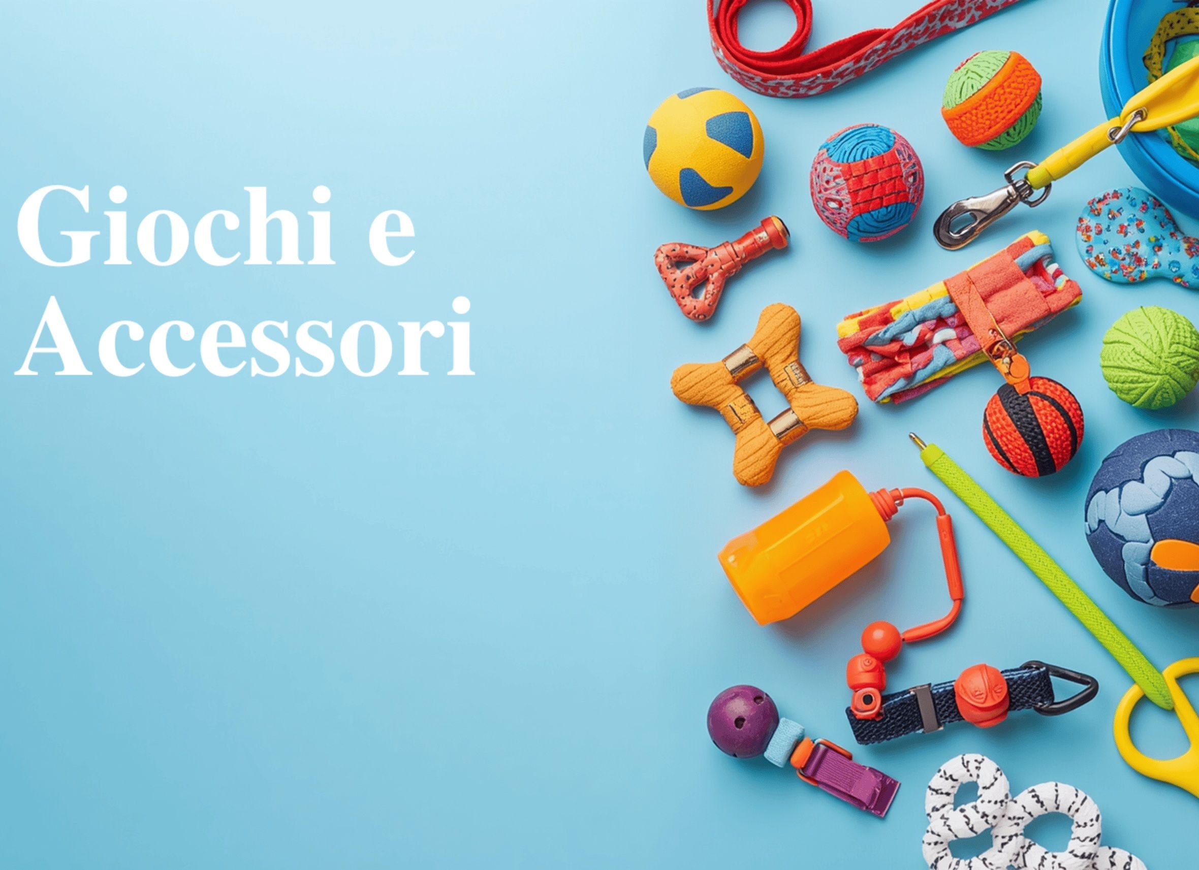 Giochi e Accessori