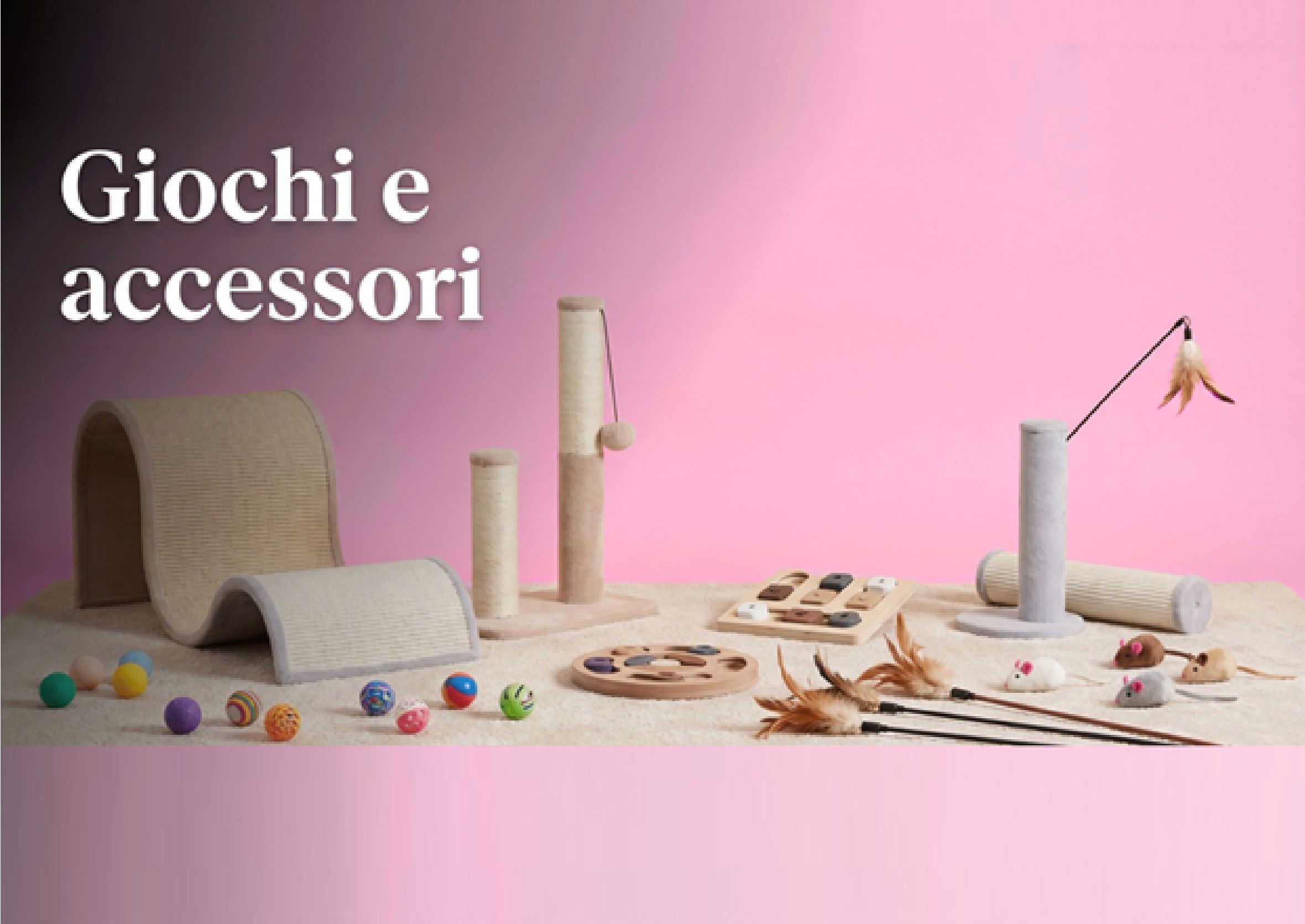 Giochi e accessori per gatti