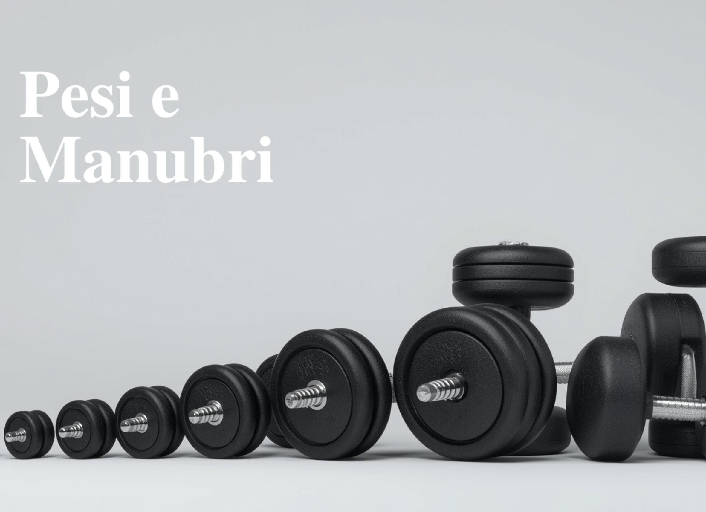 Pesi e Manubri