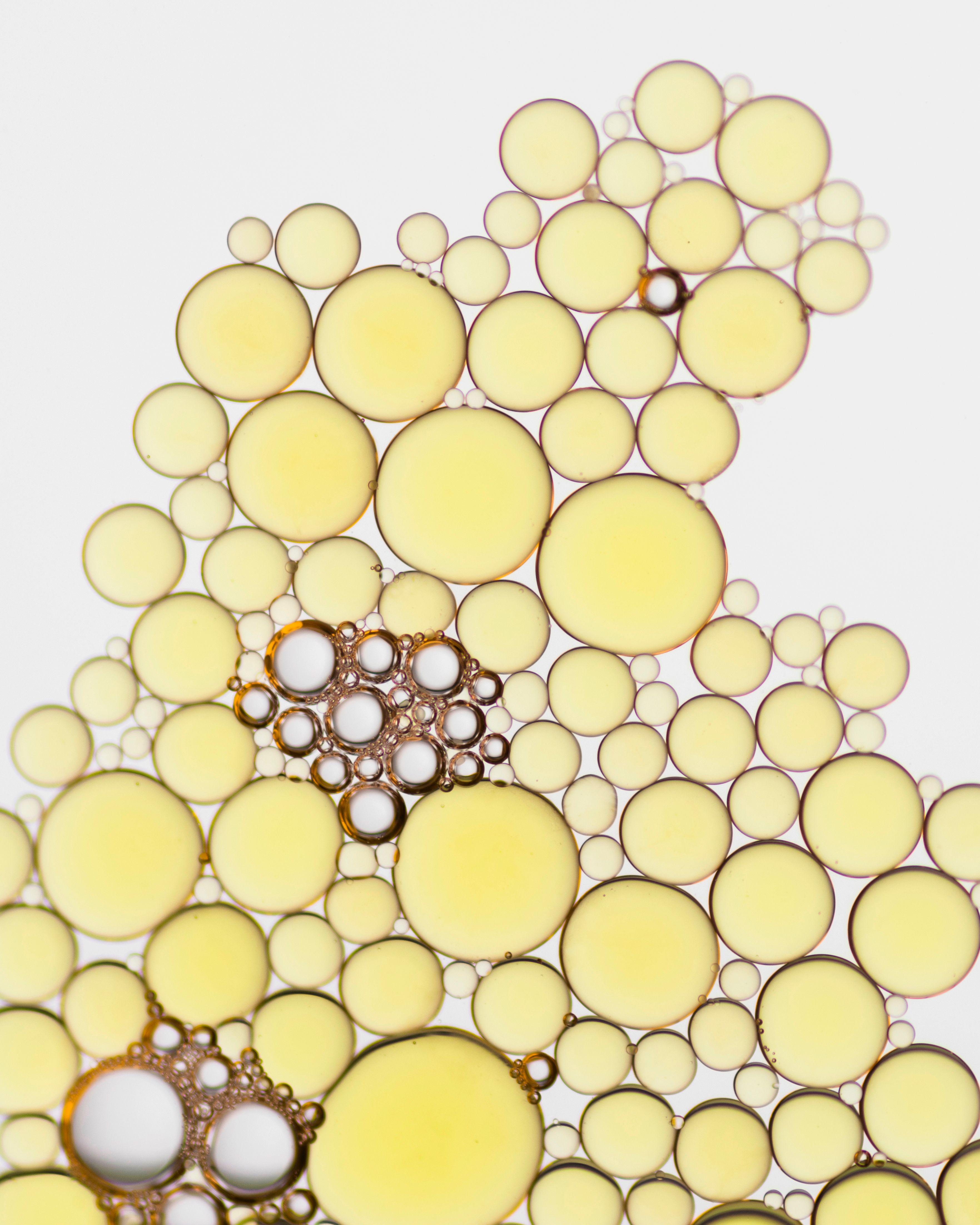 La fenilalanina: 5 cose da sapere