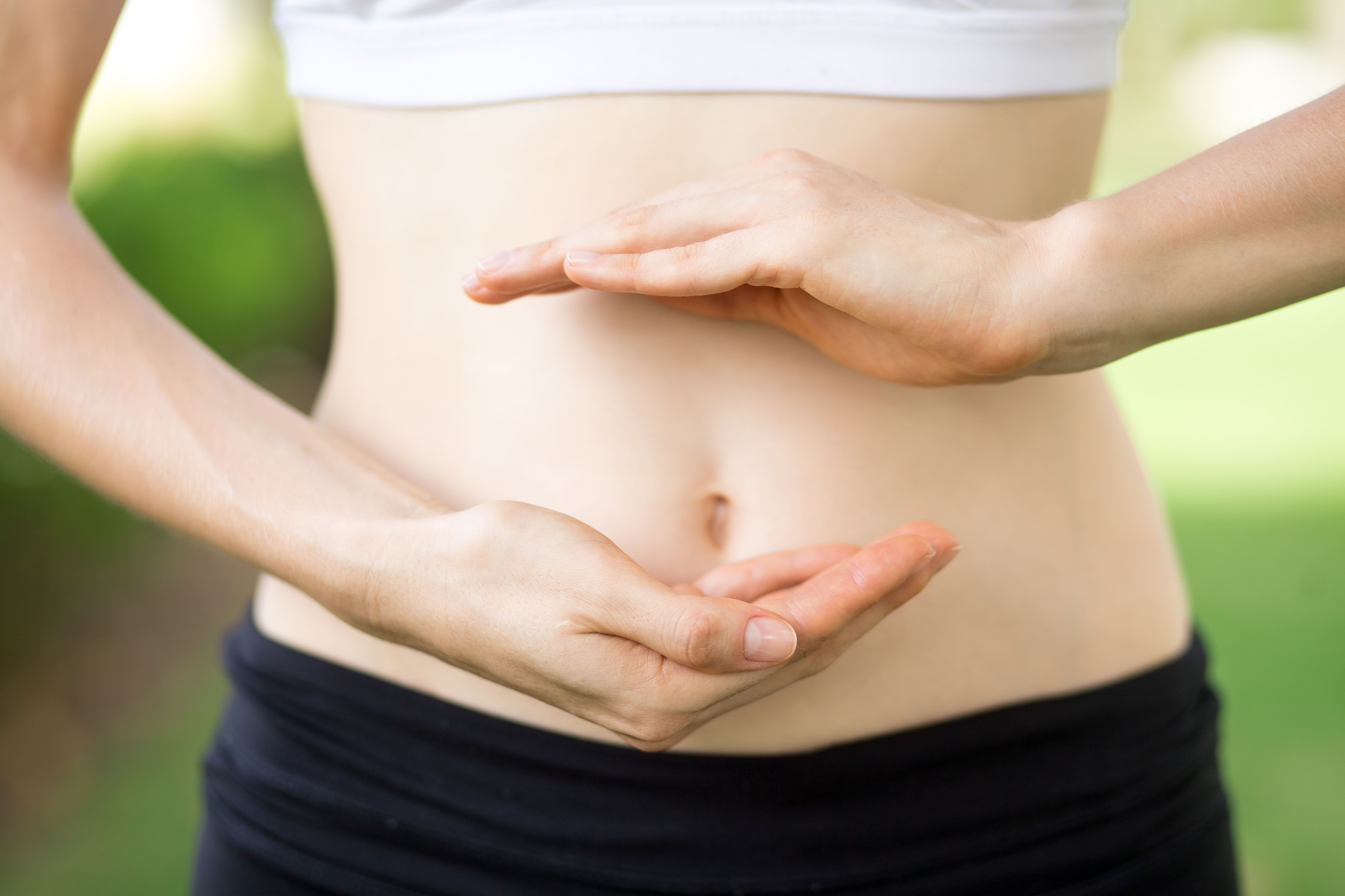 Limosilactobacillus reuteri: un batterio alleato del benessere, dall'intestino al cervello