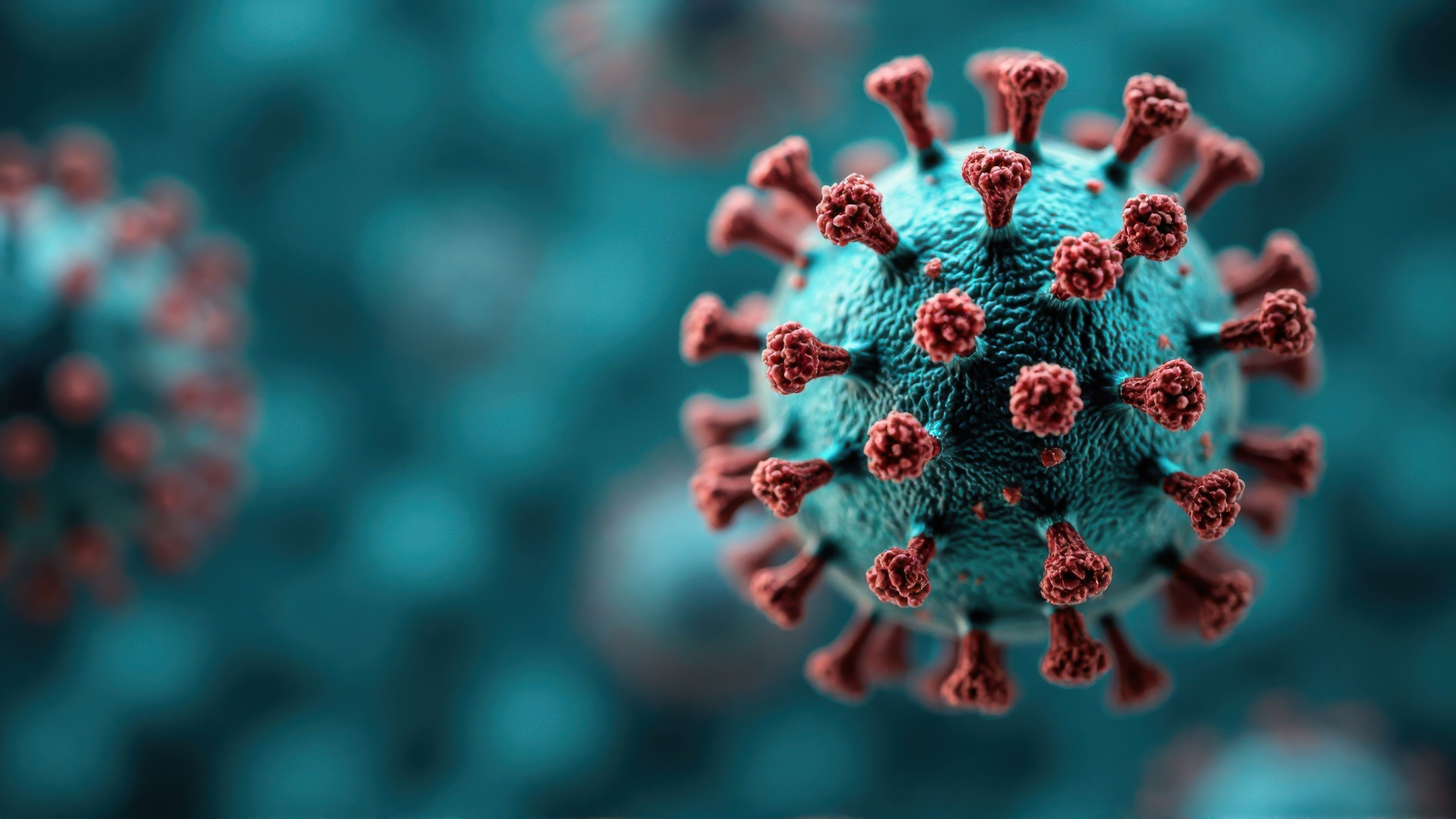 microscopic view coronavirus covid 19 cell